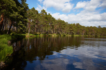 Lake surounded by the forest with blue sky above with few white clouds, selective focus