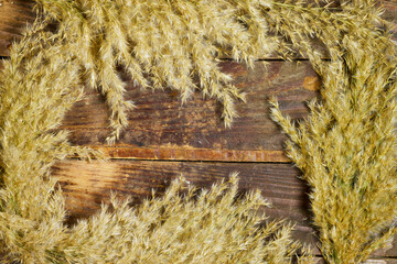 golden reeds on wooden table  with copy space