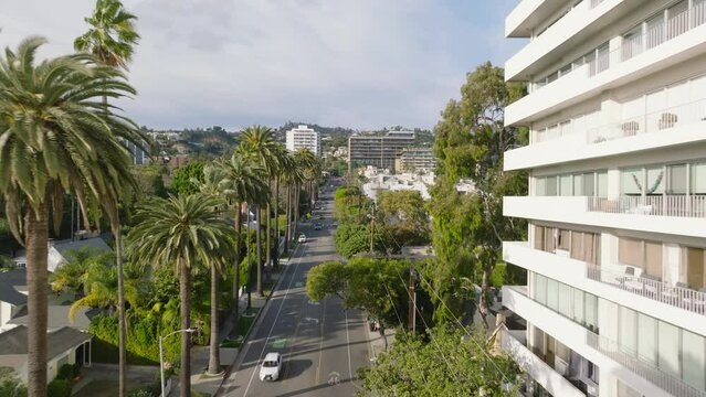 Elevated footage of town development and lot of greenery in residential urban borough. Row of tropical palm trees along street.