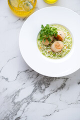 Plate with pea risotto and seared sea scallops on a light-grey marble background, vertical shot with copy space, top view