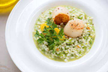 Closeup of pea risotto with pan seared scallops served in a white plate, horizontal shot, selective focus