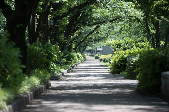 No people, beautiful green sidewalks.