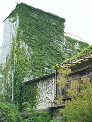 朽ちゆく建造物