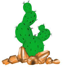 Cactus