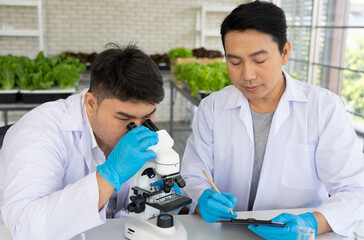 Scientist Team Doing Experiment in Agriculture Lab to Develope Genetic Modification Crops