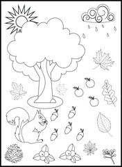 Autumn Coloring Pages for Kids