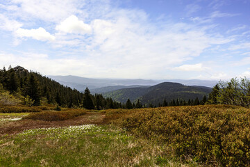 Fototapeta na wymiar Mount Arber peak loop trail impression - View from the top of mount Arber in the bavarian forest