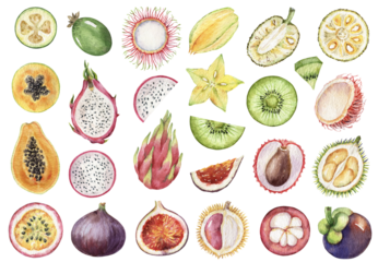 Watercolor set of hand painted fruits. Healthy food with fruits for menus, cooking websites, restaurants, magazines, decoration of postcards.