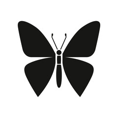 butterfly isolated on transparent background. PNG