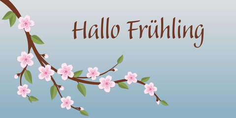 Hallo Frühling - Schriftzug in deutscher Sprache. Grußbanner mit einem Zweig mit rosafarbenen Blüten.