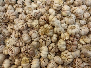 Garlic for sale at a market stall