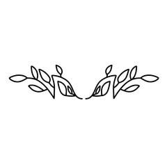 Floral frames, borders, wreaths Trendy Line drawing, line art style isolated  background 