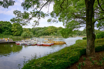 東京・皐月の晴れ晴れとした青空の公園を散歩