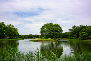 東京・皐月の晴れ晴れとした青空の公園を散歩