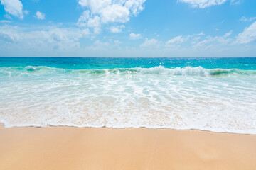 Fototapeta na wymiar Turquoise water and golden sand in Anse Intendance beach