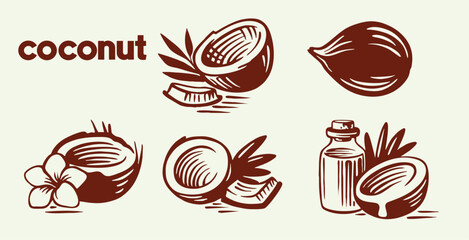 coconut set design template, fresh coconut in hand drawn, coconut pieces and whole coconut, coconut template vector