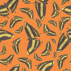 Seamless Pattern with Hand Drawn Colorful Butterflies on Orange Background. Digital Paper with Butterfly.