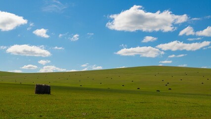 Fototapeta premium Aerial view of bales in greenery field