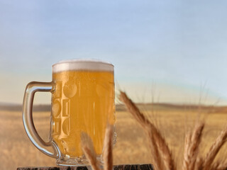 Glass beer mug in wheatfield