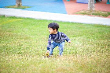 Naklejka na ściany i meble Adorable little lindergarten boy playing car truck on green grass