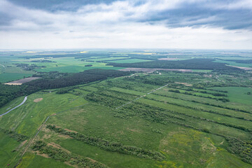 Top view of plowed and sown fields