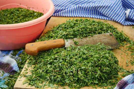 allseed herb, which is cooked and eaten in Turkey,