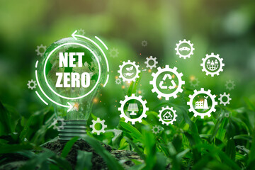 Light bulb with net zero icon and nature backgroung.Carbon neutral and net zero concept.natural environment Climate-neutral long-term strategy greenhouse gas emissions targets.