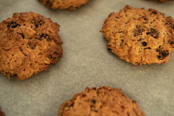 Freshly baked chewy oatmeal raisin cookies on a baking sheet.