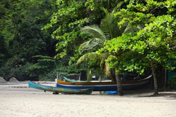 Boats on the coast full of lush trees in Ilhabella, Brazil