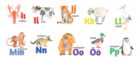 Turkish letters, the alphabet, illustrated with funny pictures of animals from I to P on a white background.