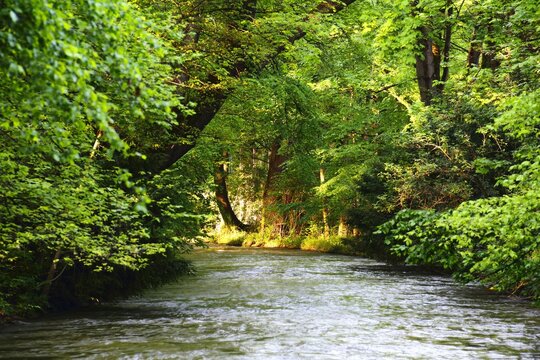 Eisbach river between the lush trees in the city of Munich, Bavaria, Germany
