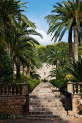 Fototapeta na wymiar Stone pathway with arch trees of Jardines de Alfabia garden in Mallorca, Spain, vertical shot