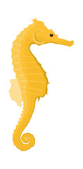 Sea Horse