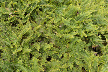 Textures and backgrounds for different uses.
