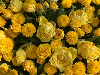 Gelbe Blumen mit Rosen nach Beerdigung auf dem Friedhof 