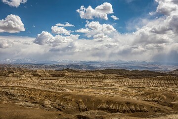 Beautiful view of Earth forest landform in Zanda County, Tibet, China.