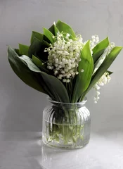 Foto auf Glas white fragrant flowers of Convallaria maialis - lilies-of-the-valley close up © Maria Brzostowska