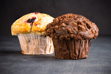 Delicious cocoa and blueberry muffins