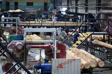 Industrial plant sawmill - production of wooden boards with modern machines