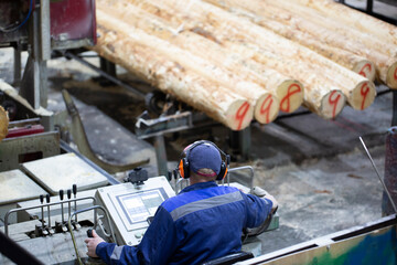 Fototapeta premium Industrial plant sawmill - production of wooden boards with modern machines