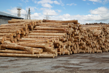 Industrial plant sawmill - production of wooden boards with modern machines