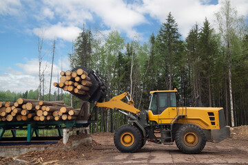 Loading logs with a special loader.Timber products warehouse on a specialized site.