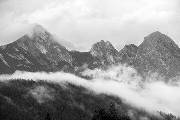 Black and white of a rocky mountain covered in trees with clouds on the peak, great for wallpapers