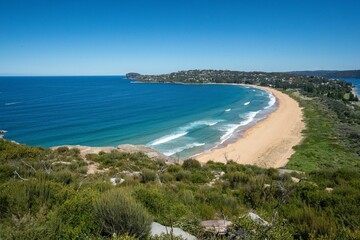 Beautiful shot of a seascape near a forest during the day