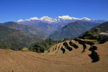 Photo sur Plexiglas Manaslu Terraced rice fields in the Annapurna Conservation Area and snow capped Manaslu Range, Nepal.