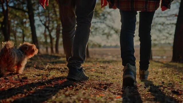 Forest park dog walk with two hiker foot. journey concept. two hiker and pet dog a walking in sneakers through the park. pet dog walk journey concept. hiker lifestyle sneakers walking close-up park