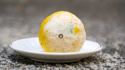  mold on yellow lemon. Spoiled rotting fruit with mold on a small plate, Blue-green mold on citrus fruits