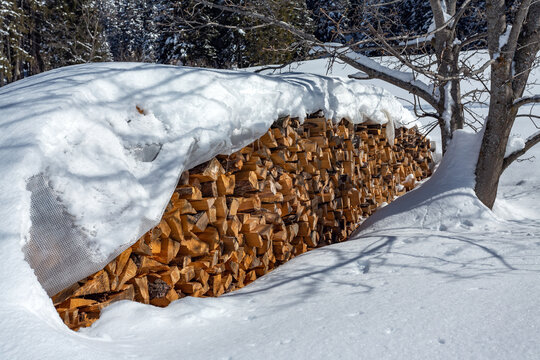winter_firewood
