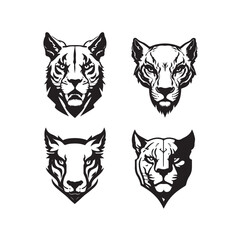 Puma line drawing illustration isolated vector