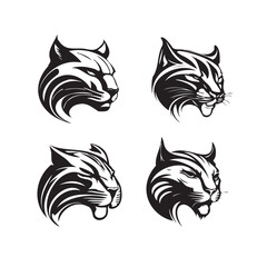 Puma line drawing illustration isolated vector